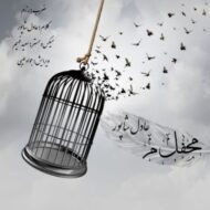 دانلود آهنگ محفل میم عادل شاپور